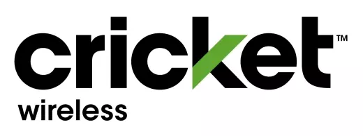 Cricket USA