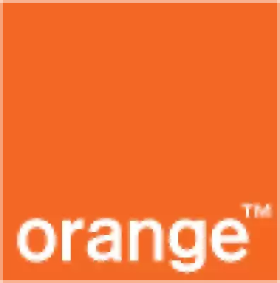 Orange Jordan